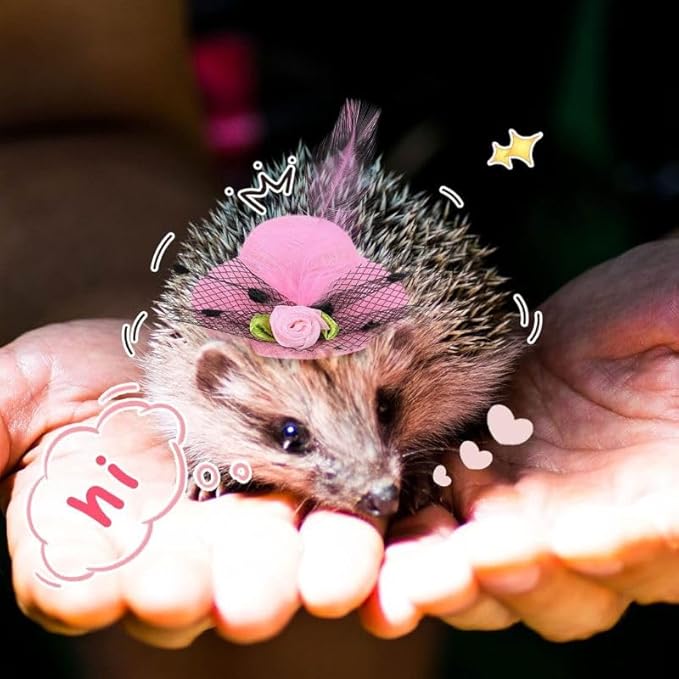 6 Pieces Chicken Hats for Hen Mini Hat Chicken Helmet Accessories Feather Top Hat Funny Small Hat Tiny Pet Hat with Adjustable Elastic Chin Strap for Animal Costume PAWPICO