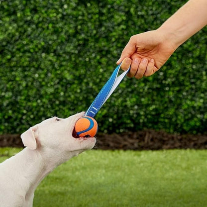 Chuckit! Ultra Tug Dog Toy, Small Fetch and Dog Ball Tug Toy for Dogs 0-20 Pounds - PAWPICO