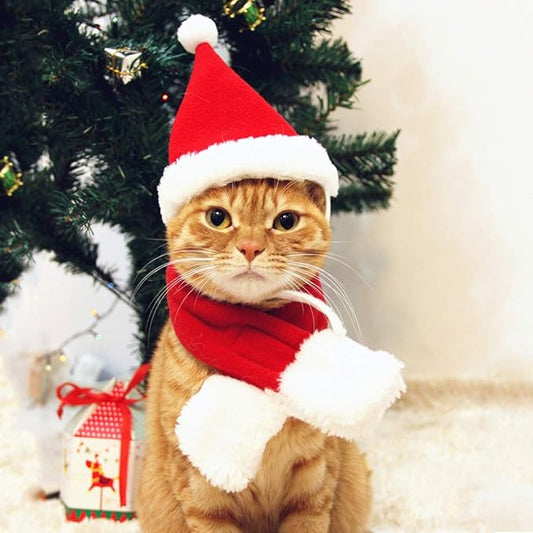 PETLESO Cat Santa Hat with Scarf, Christmas Hats for Cats Small Dog Santa Hat Christmas Costume for Cat Rabbit Puppy Doll Decoration, Red S - PAWPICO