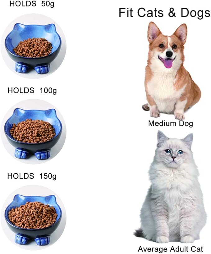 Nihow Ceramic Basic Cat Bowls: 6.25 Inch Cat Bowl for Food & Water - Food Grade Cat Dish for Large-Sized Cat/Medium-Sized Dog - Microwave & Dishwasher Safe -Elegant Blue & Black (8.5 OZ /1 PC) - PAWPICO