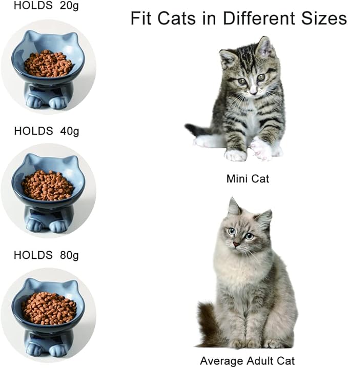 Nihow Ceramic Raised Cat & Dog Bowls: 5 Inch Elegant Gray (2 PC), Protecting Pet's Spine, Feeding & Watering Supplies, Modern Design, Anti Vomiting, Whisker Friendly - PAWPICO