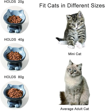 Nihow Ceramic Raised Cat & Dog Bowls: 5 Inch Elegant Gray (2 PC), Protecting Pet's Spine, Feeding & Watering Supplies, Modern Design, Anti Vomiting, Whisker Friendly - PAWPICO