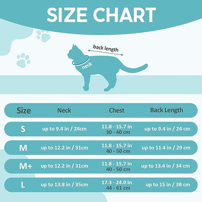 Avont Cat Recovery Suit - Post-Surgery Onesie for Cats, Alternative to Cone of Shame, Protective Spay Suit for Female Kitten, Ideal for Healing and Skin Conditions -Purple(M+) Avont