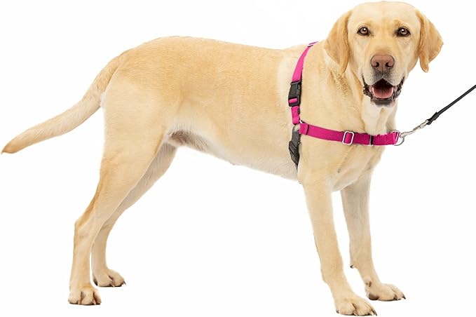 PetSafe Easy Walk No-Pull Dog Harness - The Ultimate Harness to Help Stop Pulling - Take Control & Teach Better Leash Manners - Helps Prevent Pets Pulling on Walks, Large, Raspberry/Gray PetSafe