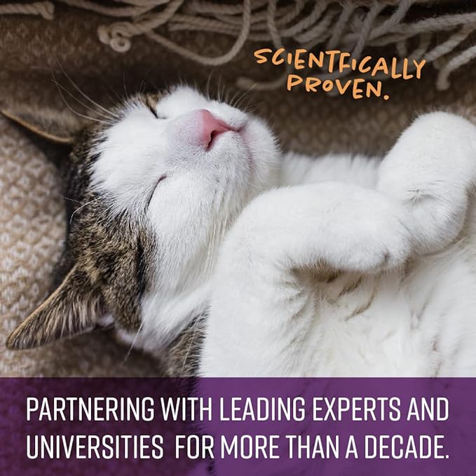 Sentry Calming Chews for Cats, Calming Aid Helps to Manage Stress & Anxiety, With Pheromones That May Help Curb Destructive Behavior & Separation Anxiety, Calming Health Supplement for Cats, 4 oz. Sentry