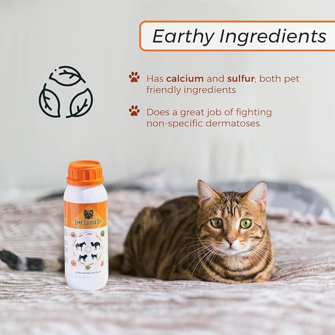 Classic's Lime Sulfur Dip - Pet Care for Itchy and Dry Skin - Xtra Strength Formula - Safe Solution for Dog, Cat, Puppy, Kitten, Horse (16 fl oz) HealthyPawLife