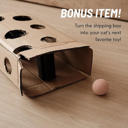 Elevated Cat Ceramic Bowls Stand for Food and Water, Small Dog, Anti Vomit, Indoor Cats, Tilted Feeding Position, Full Bamboo Body Stand with Food Grade, Whisker Friendly Dish for Cats and Puppy - PAWPICO