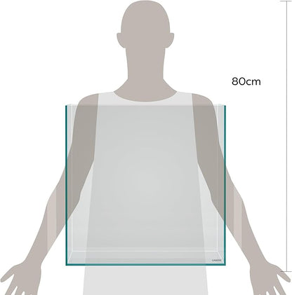 LANDEN 31 Gallon Cube Rimless Low Iron Aquarium Fish Tank,19.7" L × 19.7" W × 19.7" H (50cm x 50cm x50cm) 6mm Thickness with Nano Foam Leveling Mat Included Landen