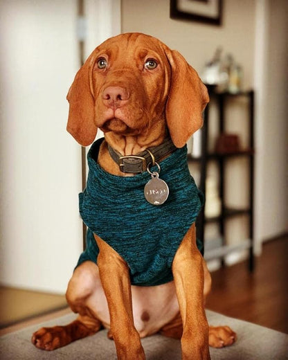 Gooby Zip Up Fleece Dog Sweater - Gray Wash, 2X-Large - Warm Pullover Fleece Step-in Dog Jacket Without Ring Leash - Winter Small Dog Sweater - Dog Clothes for Small Dogs Boy and Medium Dogs - PAWPICO