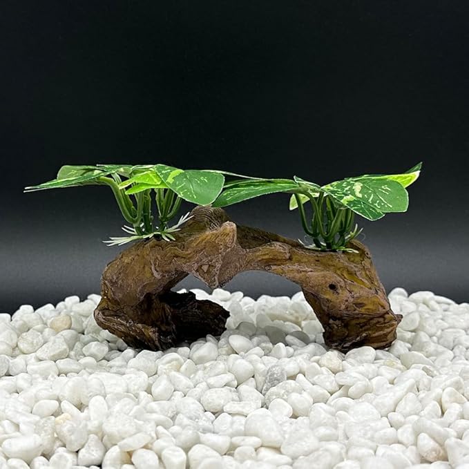 Smoothedo-Pets Fish Tank Decorations Aquarium Decor Ornaments Betta Silk Leaf pad Hammock Artifical Driftwood Cave Goldfish Bowl Accessories (Type-D) EnvironmentFriendlyArtificialPlasticPlantAquariumDecoration
