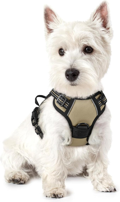 rabbitgoo Dog Harness No Pull with 2 Leash Clips, Adjustable Soft Padded, Reflective Oxford No Choke Pet Vest with Easy Control Handle for Puppy, Beige, XS rabbitgoo
