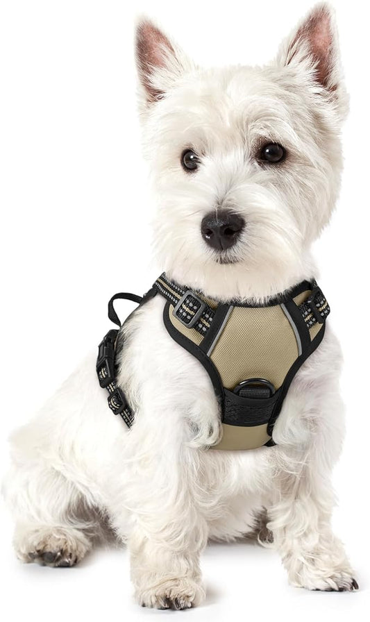 rabbitgoo Dog Harness No Pull with 2 Leash Clips, Adjustable Soft Padded, Reflective Oxford No Choke Pet Vest with Easy Control Handle for Puppy, Beige, XS rabbitgoo