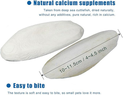2PCS Natural Cuttlebone for Tortoise Turtles Snails Birds Cockatiels Parakeets Budgies Reptiles Small Animals(4"-4.5",Small) PAWPICO