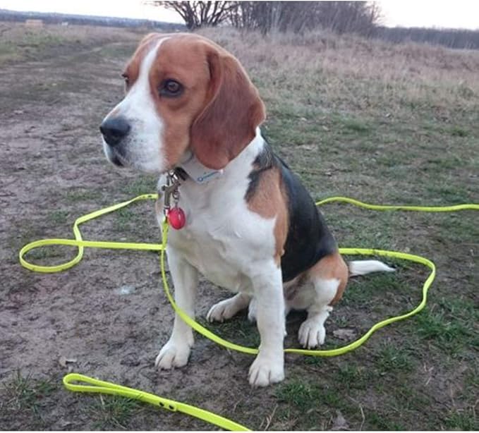 Long Leash Waterproof Training Longline Outdoor Dog Leash Great for Training, Beach, Yard, Play, Camping NIMBLE