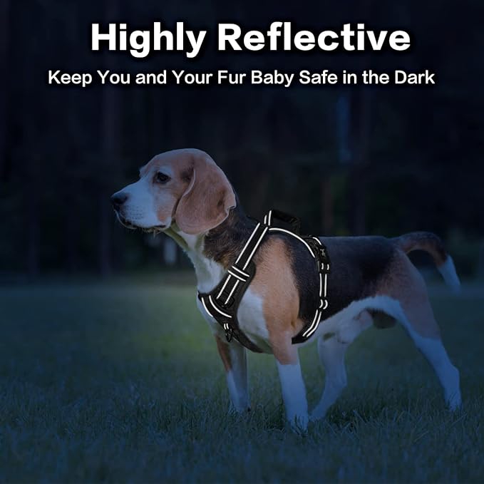 PoyPet No Pull Dog Harness, No Choke Front Clip Reflective Dog Vest with Soft Padded Vertical Handle, 3 Leash Attachments for Small Medium Large Dogs (Black,XL) PoyPet