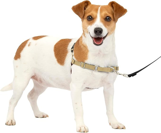 PetSafe Easy Walk No-Pull Dog Harness - The Ultimate Harness to Help Stop Pulling - Take Control & Teach Better Leash Manners - Helps Prevent Pets Pulling on Walks, Small, Fawn/Brown PetSafe