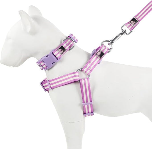 Striped Dog Harness Collar and Leash Set, Polyester Webbing Dog Collar Easy Walking and Training Dog Harness and Leash 3-in-1 Suit Adjustable Dog Harness Collar Leash Set for Dogs(Purple, M) Tiffpaws