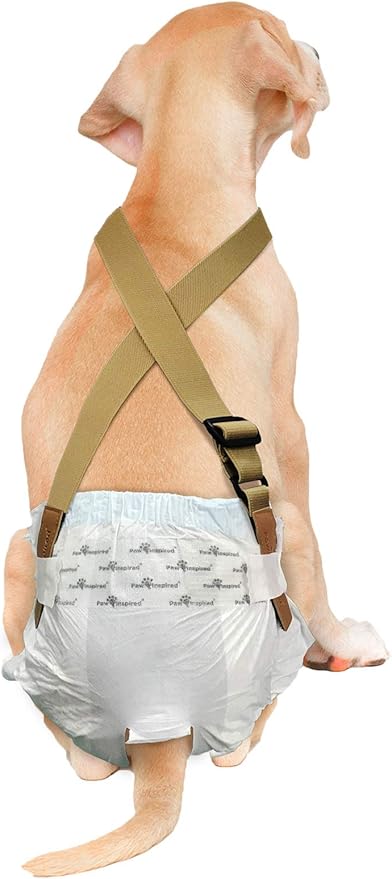 Paw Inspired Dog Diaper Suspenders with Velcro Fasteners | Stretchy Adjustable Suspenders for Female and Male Disposable and Washable Diapers | Fits Small, Medium and Large Size Pets (S/M, Brown) - PAWPICO