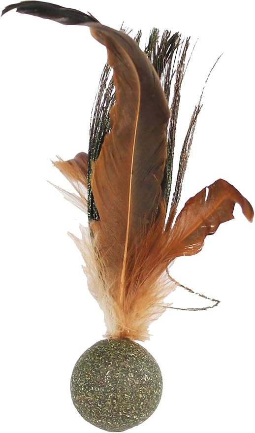 Penn-Plax Cat-Life Compressed Catnip Birdie with Peacock Feathers – Natural Cat Toy – 1 Count - PAWPICO