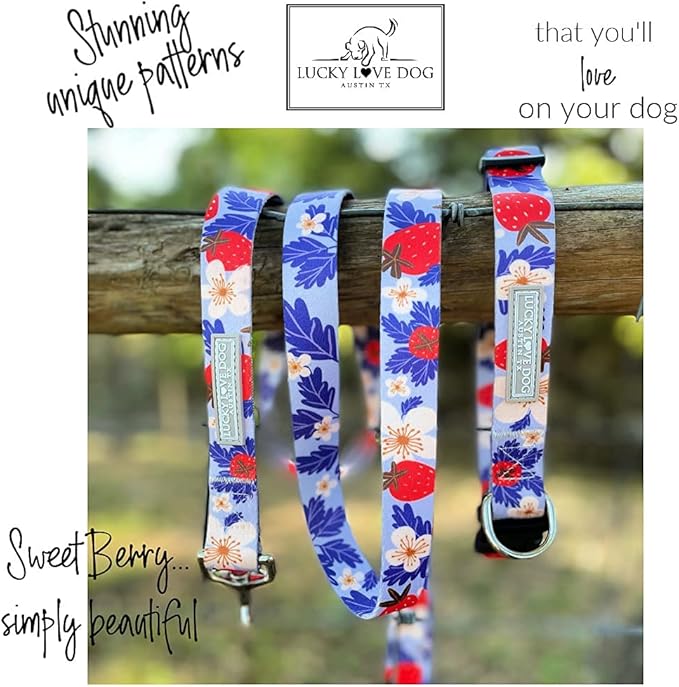 Lucky Love Dog Collar Combo Set, Strawberry Cute Girl Dog Collar and Leash Set, Dog Collar and Leash Set for X-Small Dogs, Part of Purchase Donated to Rescue (Extra Small, Sweet Berry, Combo) LuckyLoveDog