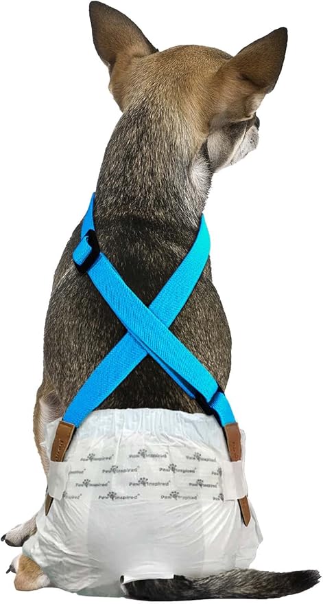 Paw Inspired Dog Diaper Suspenders with Velcro Fasteners | Stretchy Adjustable Suspenders for Female and Male Disposable and Washable Diapers | Fits Small, Medium and Large Size Pets (XS/S, Blue) - PAWPICO