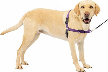 PetSafe Easy Walk No-Pull Dog Harness - The Ultimate Harness to Help Stop Pulling - Take Control & Teach Better Leash Manners - Helps Prevent Pets Pulling on Walks, Large, Deep Purple/Black PetSafe