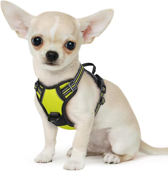Eagloo Small Dog Harness No Pull, Service Vest with Reflective Strips and Control Handle, Adjustable and Comfortable for Easy Walking, No Choke Pet Harness with 2 Metal Rings, Green, XS GoExplorewithEagloo