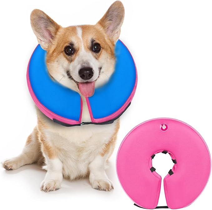 Dog Cone Collar for Small Medium Large Dogs for After Surgery, Pet Inflatable Neck Donut Collar Soft Protective Recovery Cone for Dogs and Cats-Alternative E Collar Does Not Block Vision-PinkBlue,S MIDOG