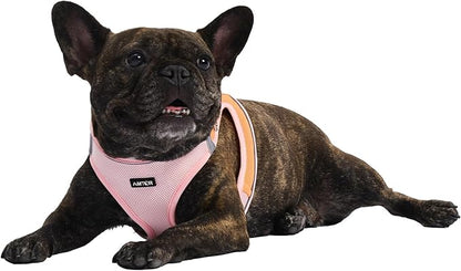 AMTOR Small Dog Harness with Leash Set, No Escape Easy Walk Puppy Harnesses for Training Walking, Step-in Reflective Soft Dogs Vest for XS S Medium Extra-Small Large Sized Dog(Pink/Orange) - PAWPICO