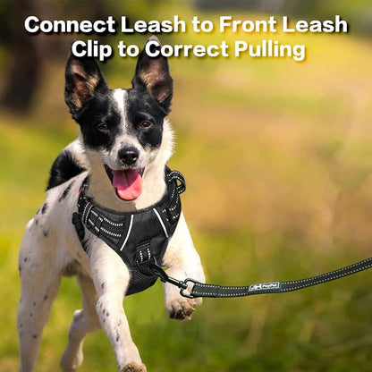 PoyPet No Pull Dog Harness, No Choke Front Clip Reflective Dog Vest with Soft Padded Vertical Handle, 3 Leash Attachments for Small Medium Large Dogs (Black,L) PoyPet