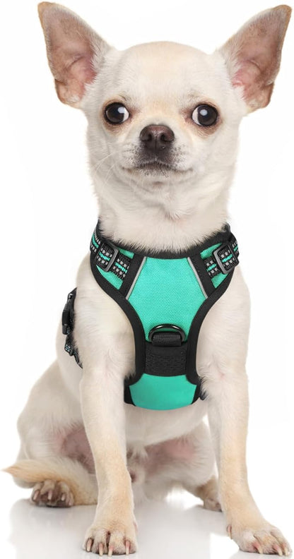 rabbitgoo Dog Harness, No-Pull Pet Harness with 2 Leash Clips, Adjustable Soft Padded Dog Vest, Reflective No-Choke Pet Oxford Vest with Easy Control Handle for Small Dogs, Turquoise, XS - PAWPICO