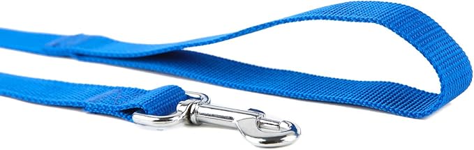 Nylon Dog Training Leash, Traction Rope, 4/5/6 Feet Long, 3/4 Inch 1 Inch Wide, for Small and Medium Dogs (1'' x 5 FT, Blue) TAIDA