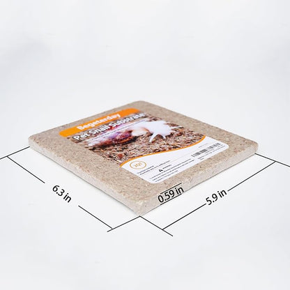 2 Quarts Organic Fiber Substrate for Pet Snail, Ideal Snail Terrarium Accessories for Retains Moisture Begeterday