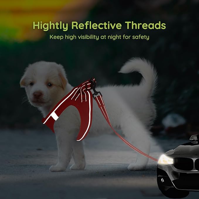 BELLA & PAL Puppy Harness with Leash Set, Dog Harness for Small Dogs No Pull, Dog Leash for Small Dogs, Step in Harness for Extra Small Dogs, Red Harness, S BELLAPAL