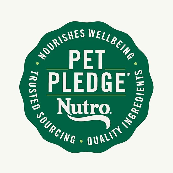 Nutro Natural Choice Small Bites Adult Dry Dog Food, Salmon & Brown Rice Recipe, 28 lb. Bag - PAWPICO