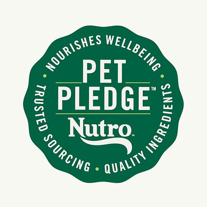 Nutro Natural Choice Small Bites Adult Dry Dog Food, Salmon & Brown Rice Recipe, 28 lb. Bag - PAWPICO