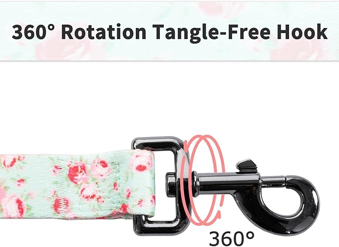 Ihoming Puppy Collar and Leash Set for Daily Outdoor Walking Running Training, Floral GreenLake Design for Extra Small Boys Girls Dogs Cats Pets, XS-Up to 10LBS Ihoming