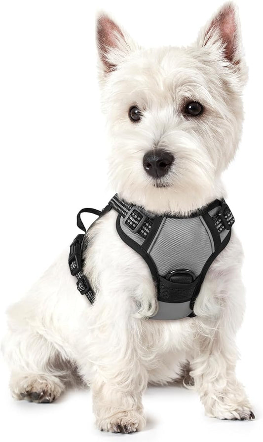rabbitgoo Dog Harness No Pull with 2 Leash Clips, Adjustable Soft Padded, Reflective Oxford No Choke Pet Vest with Easy Control Handle for Puppy, Grey, XS rabbitgoo