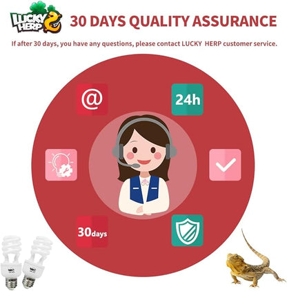 LUCKY HERP 13W UVB 15.0 Intense UVA UVB Compact Flouorescent Lamp Desert Terrarium Light Bulb for Reptile and Amphibian LUCKYHERP