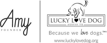 Lucky Love Dog Collar and Leash Combo, Vivid Floral Matching Girl Dog Leash and Collar Set for Small Dogs - (CarrieBelle Combo, Small) LuckyLoveDog