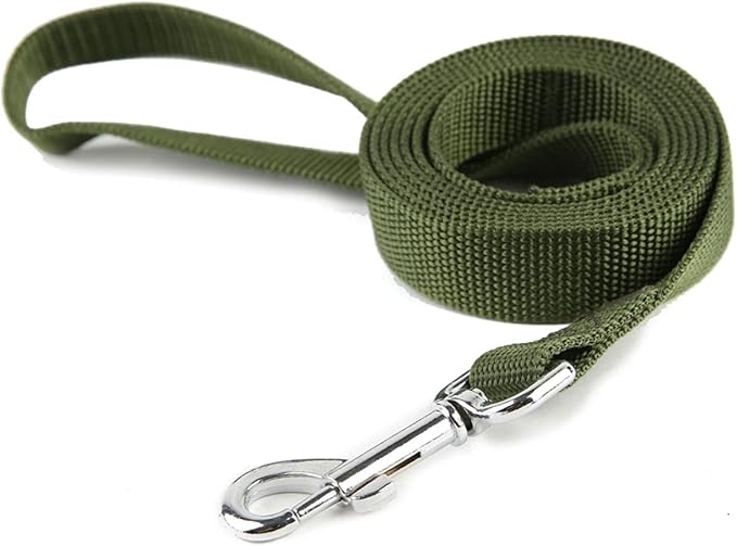 Nylon Dog Training Leash, Traction Rope, 4/5/6 Feet Long, 3/4 Inch 1 Inch Wide, for Small and Medium Dogs (1'' x 5 FT, Green) TAIDA
