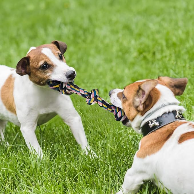 Dog Toys for Aggressive Chewers Large Medium Breed Dog Chew Toys Dog Rope Toys Nearly Indestructible Squeaky Interactive Tough Extremely Durable Toys - PAWPICO