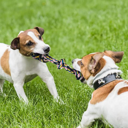 Dog Toys for Aggressive Chewers Large Medium Breed Dog Chew Toys Dog Rope Toys Nearly Indestructible Squeaky Interactive Tough Extremely Durable Toys - PAWPICO
