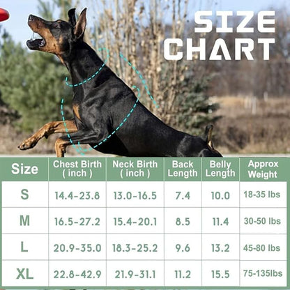 No Pull Dog Harness for Medium Dogs, Adjustable No Choke Pet Vest with Dog Leash Fit Smart Reflective Pet Walking Harness for Training Easy Control Soft Handle Green M BUMBIN