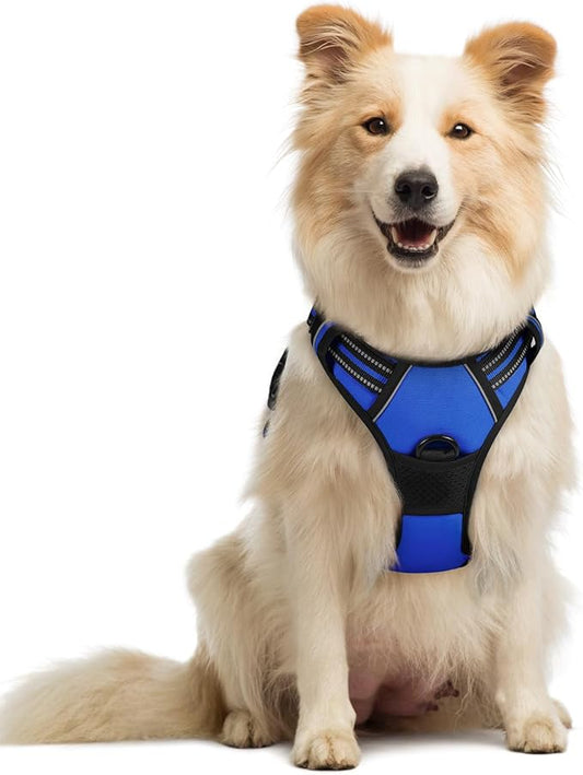 rabbitgoo Dog Harness No Pull with 2 Leash Clips, Adjustable Soft Padded, Reflective Oxford No Choke Pet Vest with Easy Control Handle for Medium Sized Dogs, Dazzling Blue, M rabbitgoo
