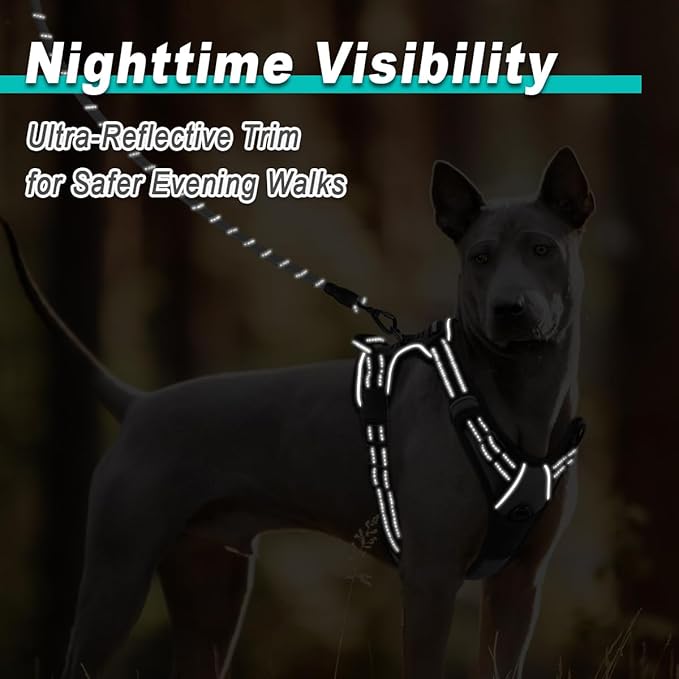 BARKBAY Dog Harness No Pull for Large Dogs - Adjustable, Reflective, Comfortable, No Choke, Heavy-Duty - Perfect for Outdoor Training, Walking, and Hiking - Strong & Durable - L & Dark Grey BARKBAY