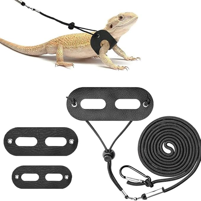 Bearded Dragon Leash and Harness Set,Lizard Leash Bearded Dragon，3 Size Pack Adjustable Small Animal Harness for Reptile and Small Pet(Old Black) cyhaen