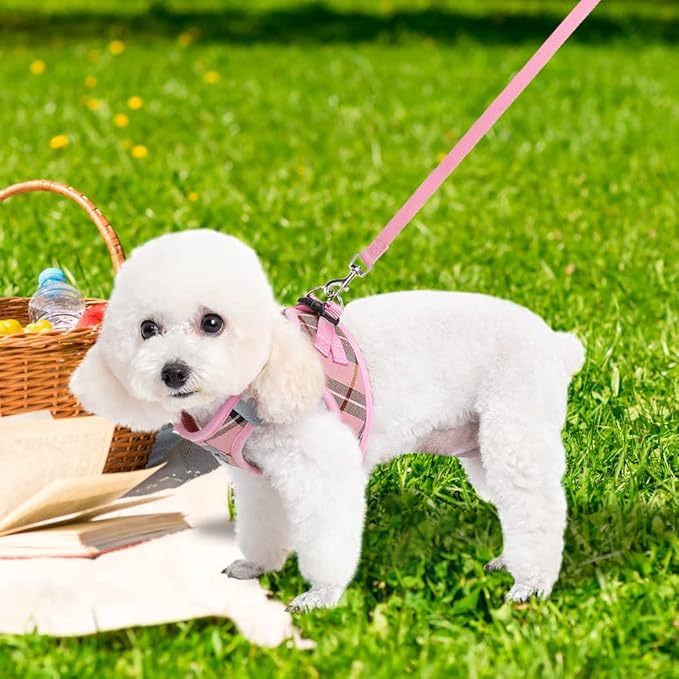 EXPAWLORER Classic Plaid Puppy Harness - Small Dog Harness and Leash Set - Dog Collar and Leash Set with AirTag Holder, Soft Padded Step in Dog Vest Harness No Pull Reflective for Outdoor, Pink M EXPAWLORER