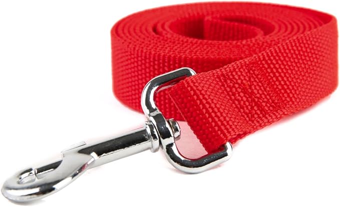 Nylon Dog Training Leash, Traction Rope, 4Ft /5 Foot /6 Feet Long, 5/8 inch 3/4 Inch 1 Inch Wide, for Small and Medium Dogs (5/8'' x 6 FT, Red) - PAWPICO