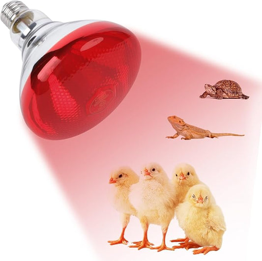 250W Red Heat Lamp Bulbs for Chicken,Infrared Flood Light Heat Lamp Bulb, Incandescent Light Heat Lamps for Chicks, Reptile, Pets, Par38 Glass E26 Base REPTIHOME